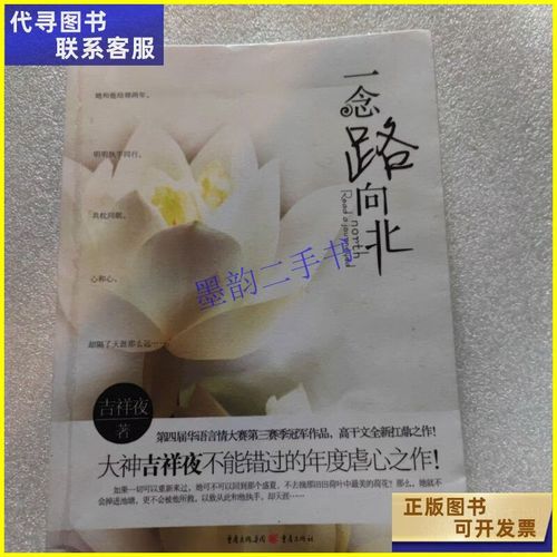 影响力在线阅读：掌握数字时代的关键影响力法则