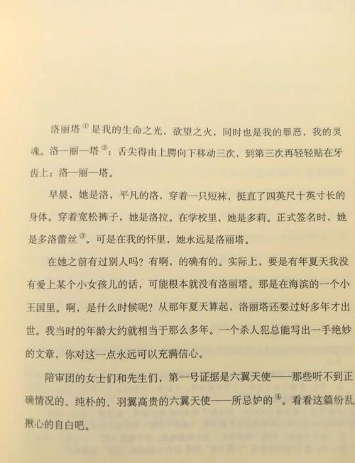 掠婚小说免费阅读在线 - 热门全集无广告