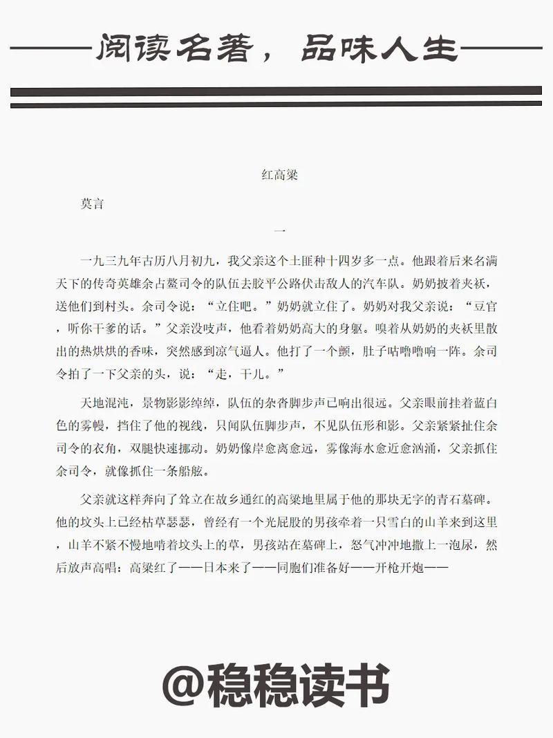 白洁无删全文在线阅读 | 完整版小说免费看