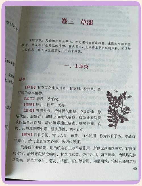 挪威的森林在线阅读 | 村上春树经典小说全文免费阅读