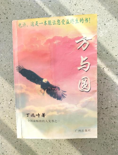 完美人生沈浪小说全文免费阅读_完整版在线阅读