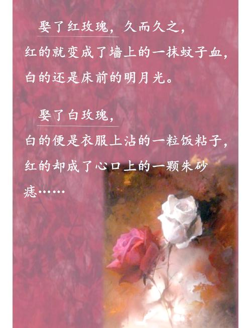 狼王梦在线阅读 | 沈石溪经典动物小说全集