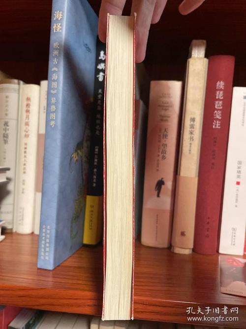 黑道学生3全文在线阅读 | 免费完整版小说