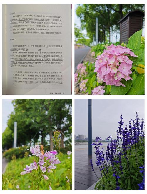 总裁爱妻入骨小说全文无广告免费在线阅读