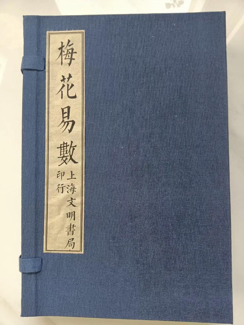 柔福帝姬全文在线阅读 | 南宋公主传奇小说