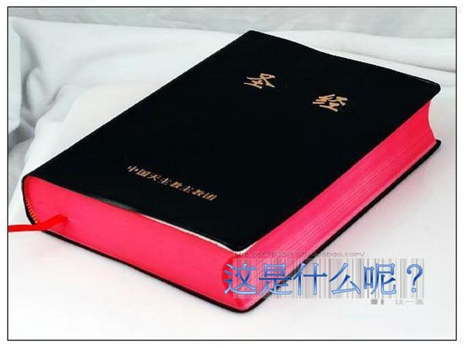 聊斋白话文在线阅读：经典鬼怪故事白话版全集