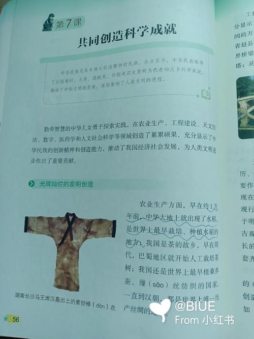 大团结在线阅读 - 完整版免费章节