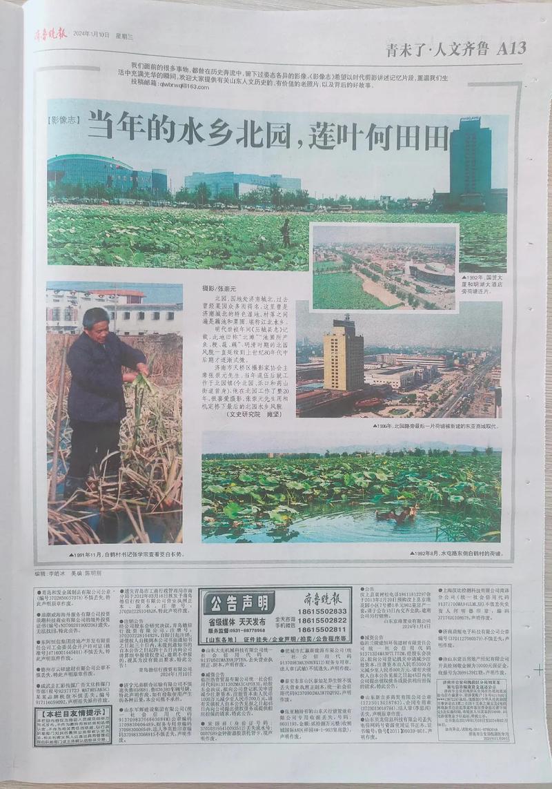 荆棘鸟在线阅读｜经典世界名著小说全文免费阅读