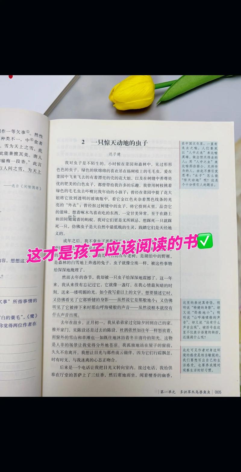 小黄文在线阅读全集：免费无弹窗高H小说大全