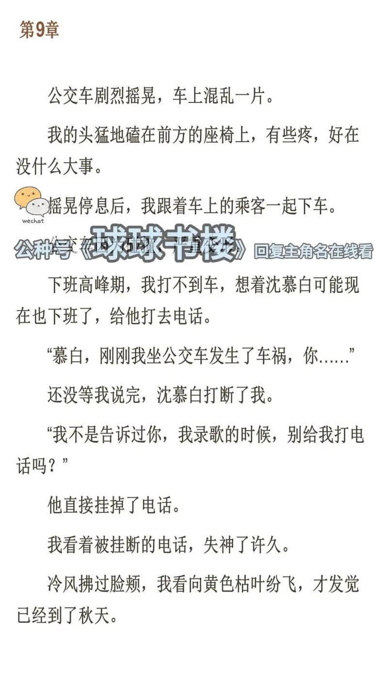 番茄小说免费在线阅读大全,海量热门小说任你选!
