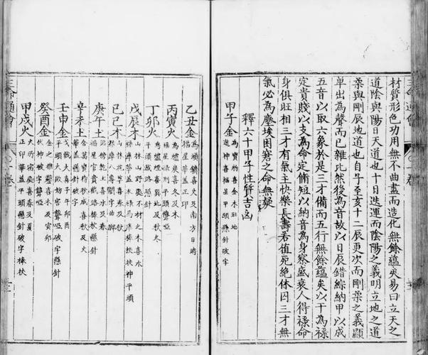 纸玫瑰全文免费在线阅读 | 最新章节无弹窗