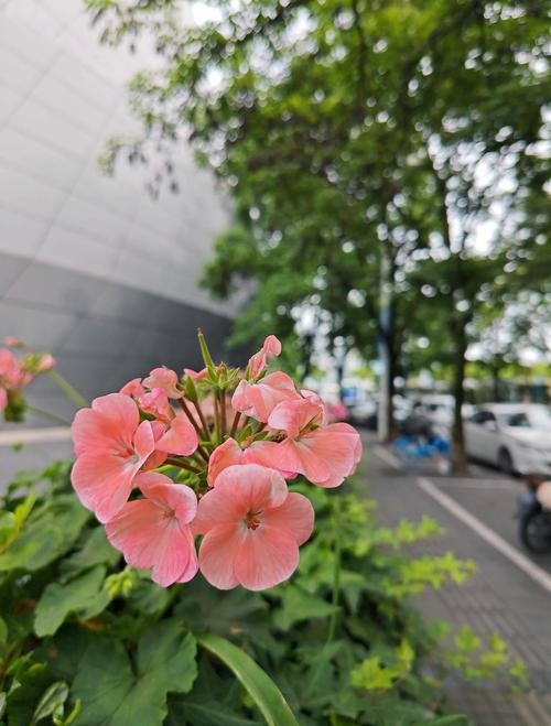 妙手回春全文在线阅读 - 妙手回春小说最新章节免费阅读