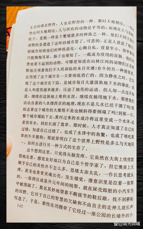 陈情令小说在线阅读 | 魏无羡蓝忘机原著小说全文阅读