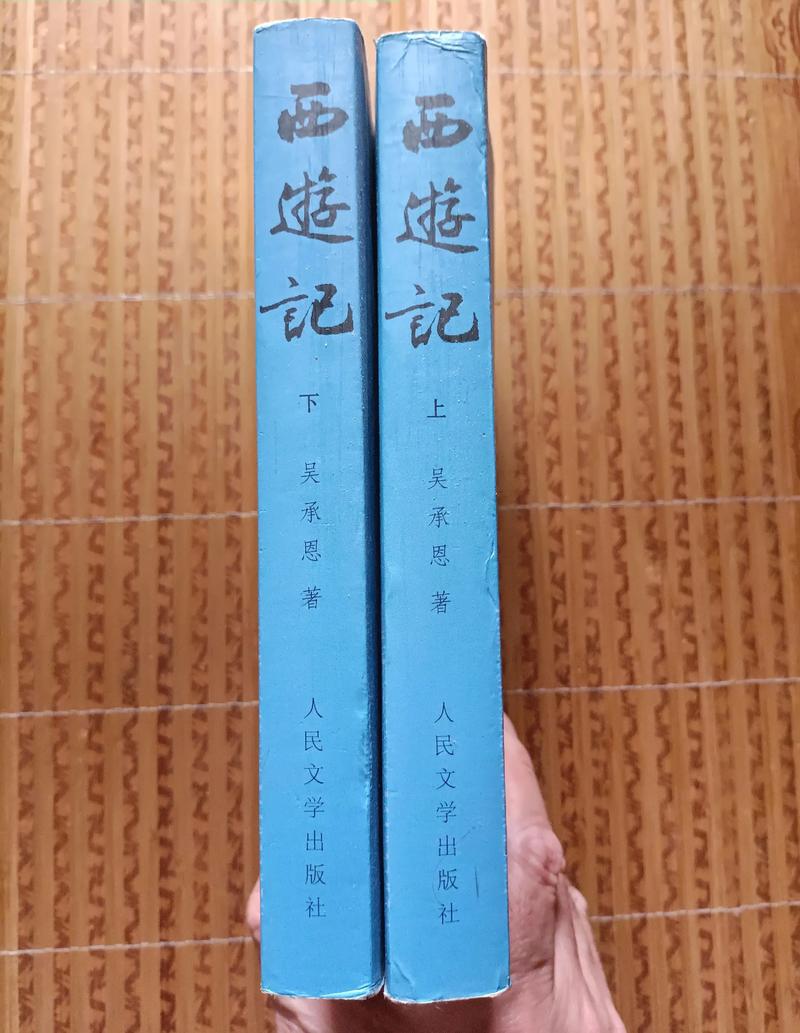 九龙抬棺张九阳林婉小说在线阅读 - 神秘棺匠逆天改命